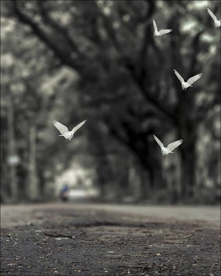 Background for Editing Background for Editing