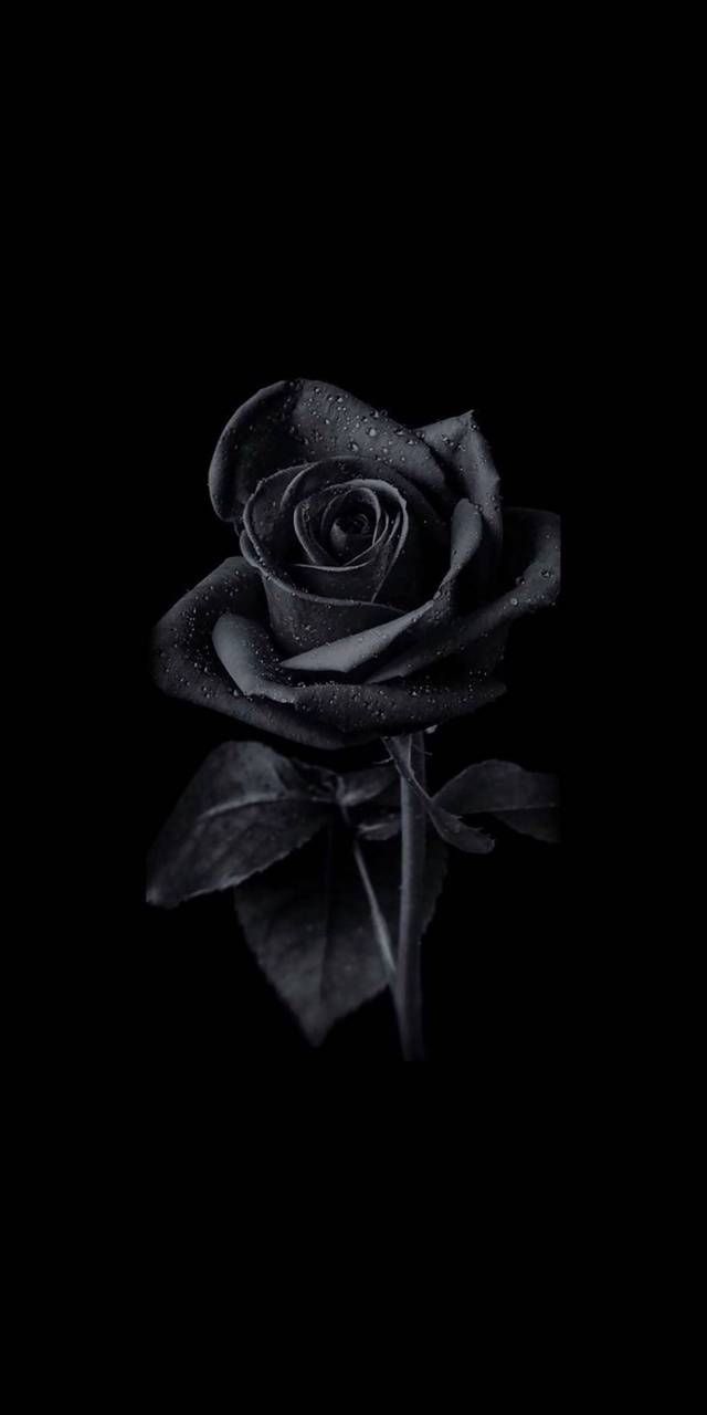 Black Photo Black Photo