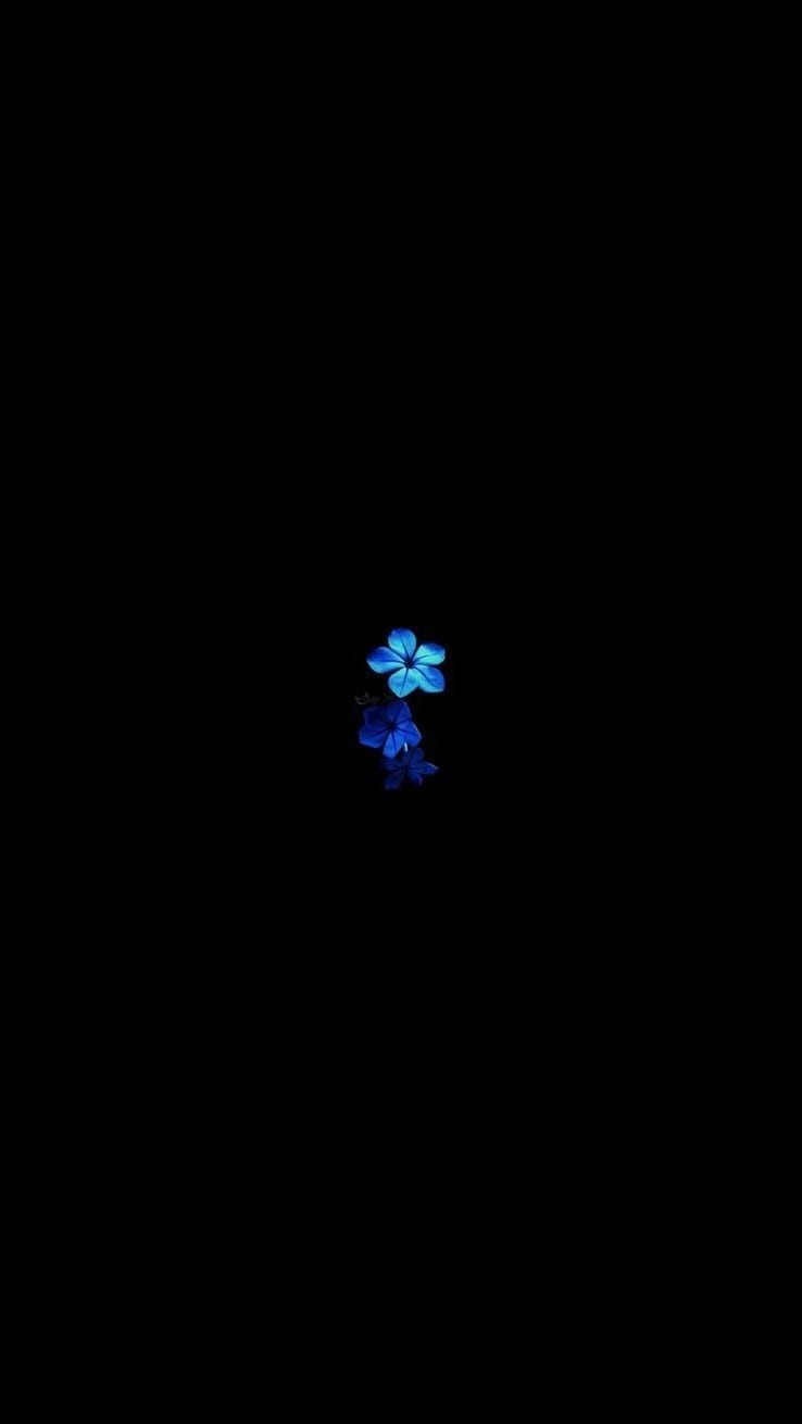 Black Wallpaper 4K Black Wallpaper 4K