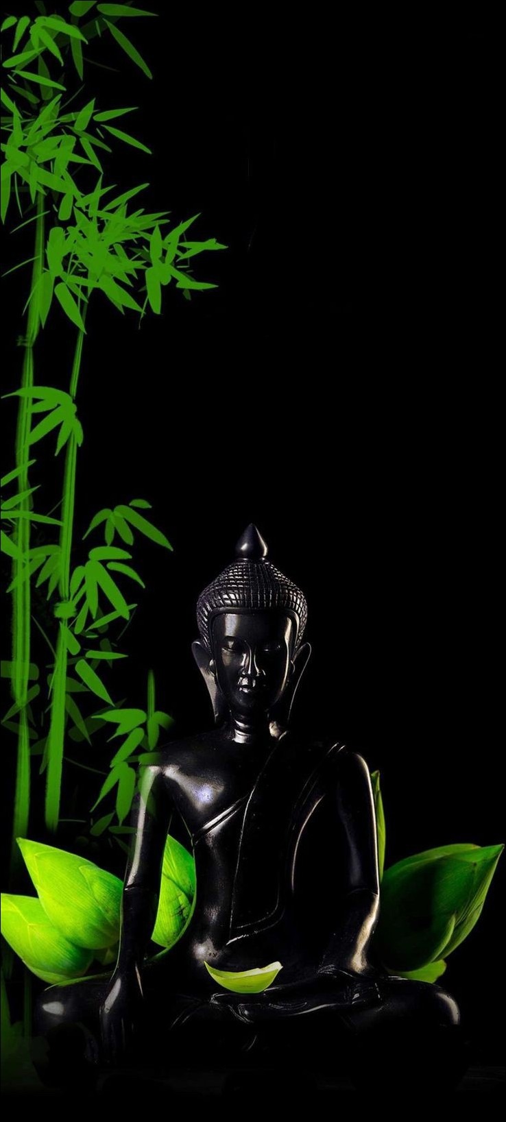 Buddha Picture Buddha Picture