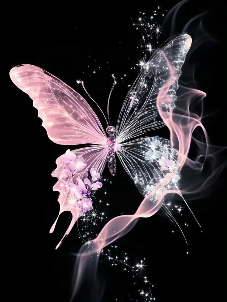 Butterfly Image Butterfly Image