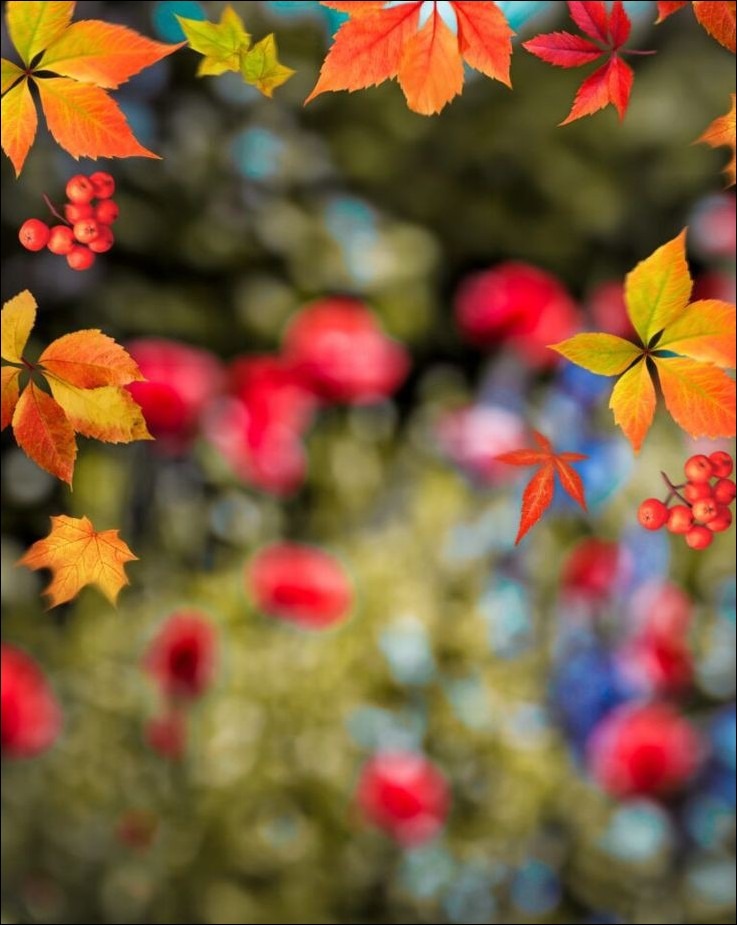 CB Background Download CB Background Download