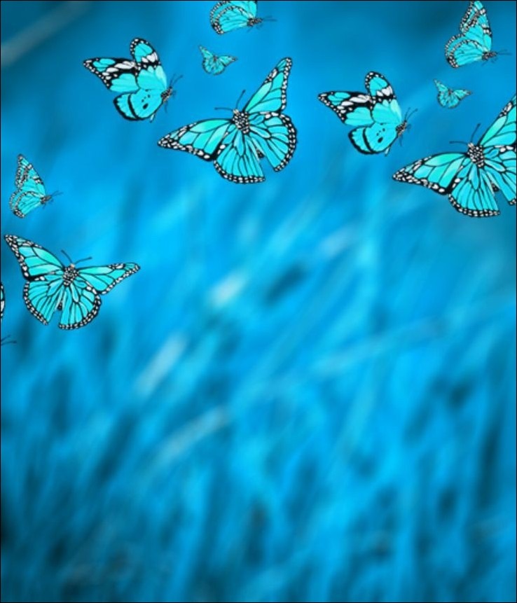 CB Background HD 1080P CB Background HD 1080P