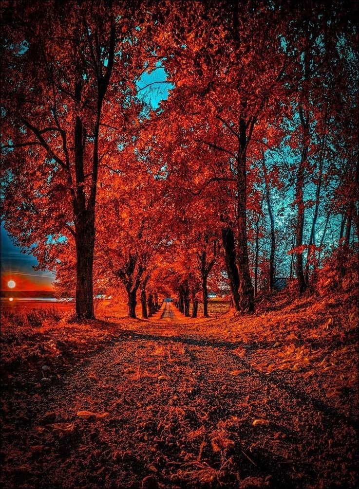 CB Background Images CB Background Images