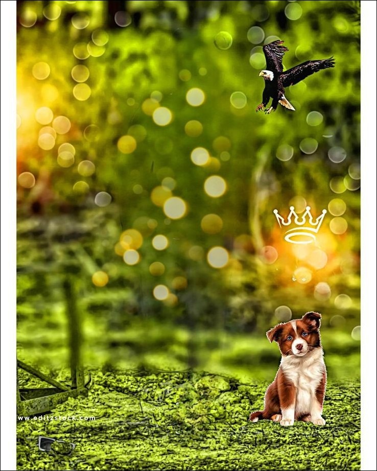 CB Background Wallpapers CB Background Wallpapers