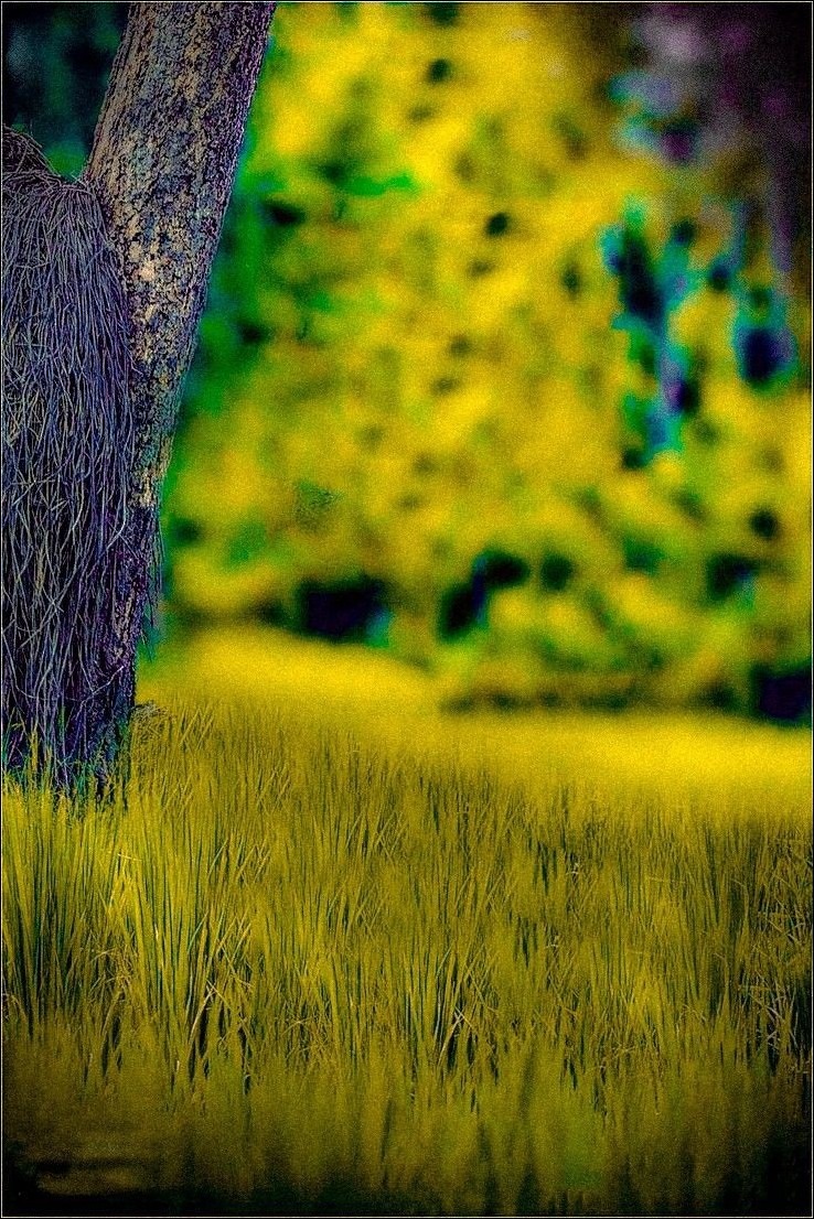 Cool CB Background Cool CB Background