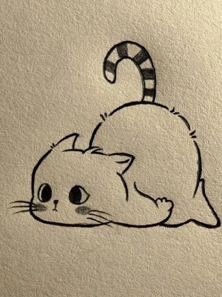 Cute Cat Drawing Cute Cat Drawing