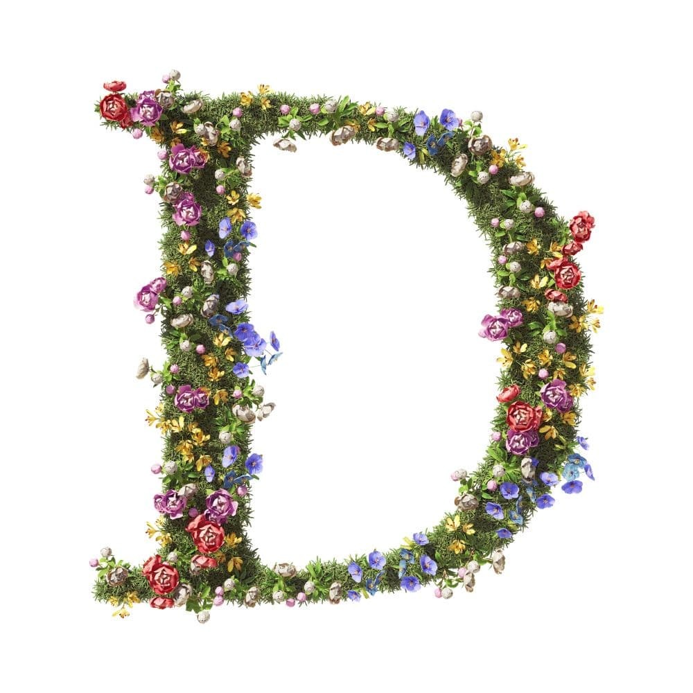 D Alphabet Images D Alphabet Images