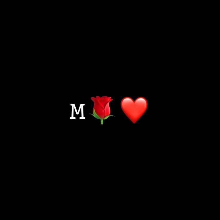 DP M DP M