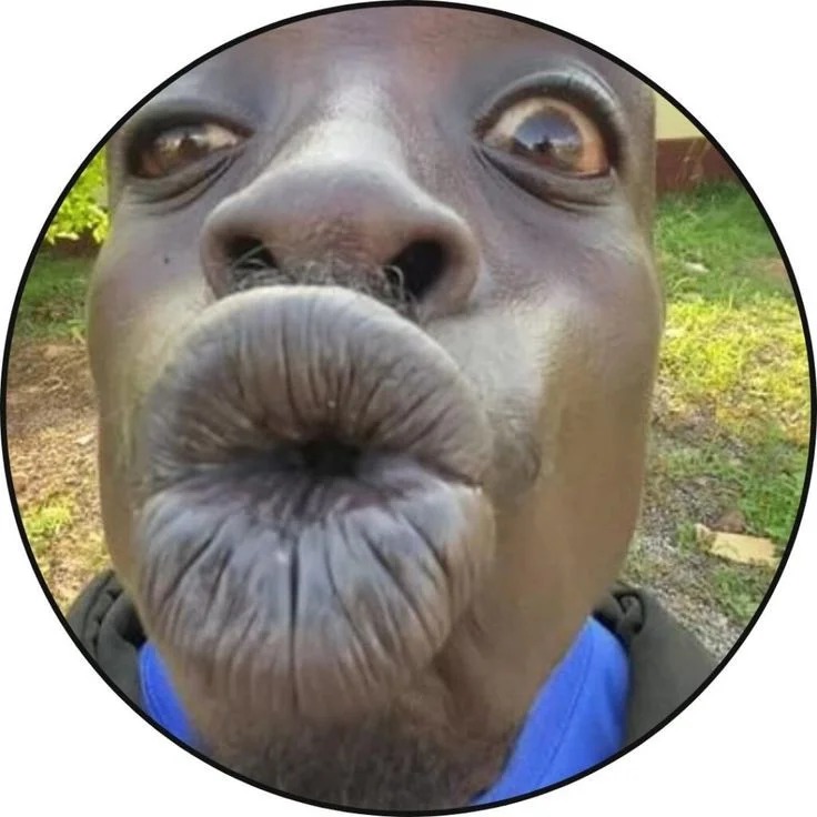 DP for Meme Page DP for Meme Page