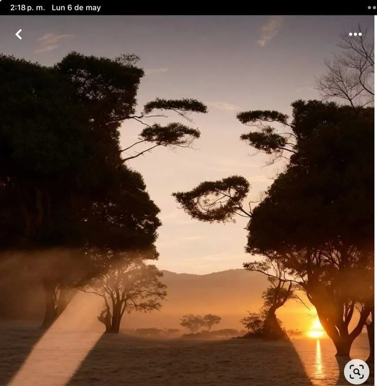 Funny Pfp for Instagram Funny Pfp for Instagram