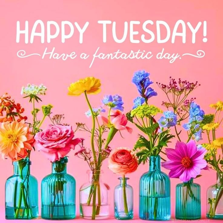 Good Morning Happy Tuesday Good Morning Happy Tuesday