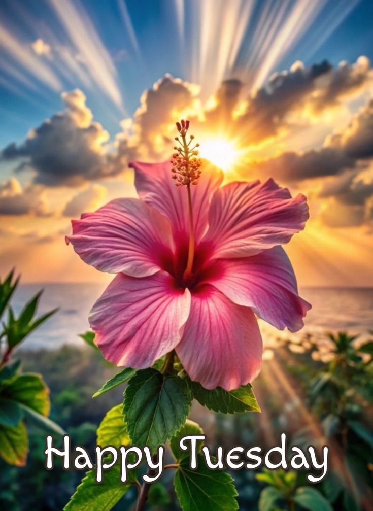 Good Morning Images with Positive Words Good Morning Images with Positive Words