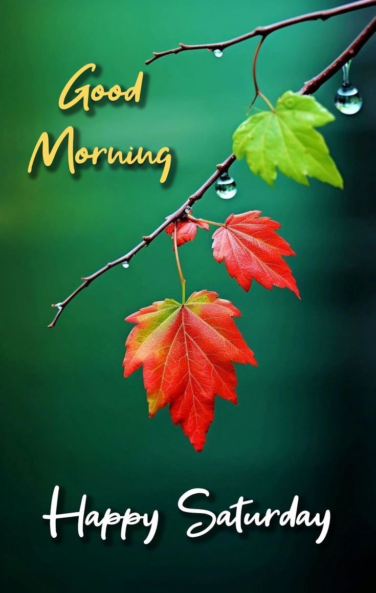 Good Morning Saturday DP Good Morning Saturday DP