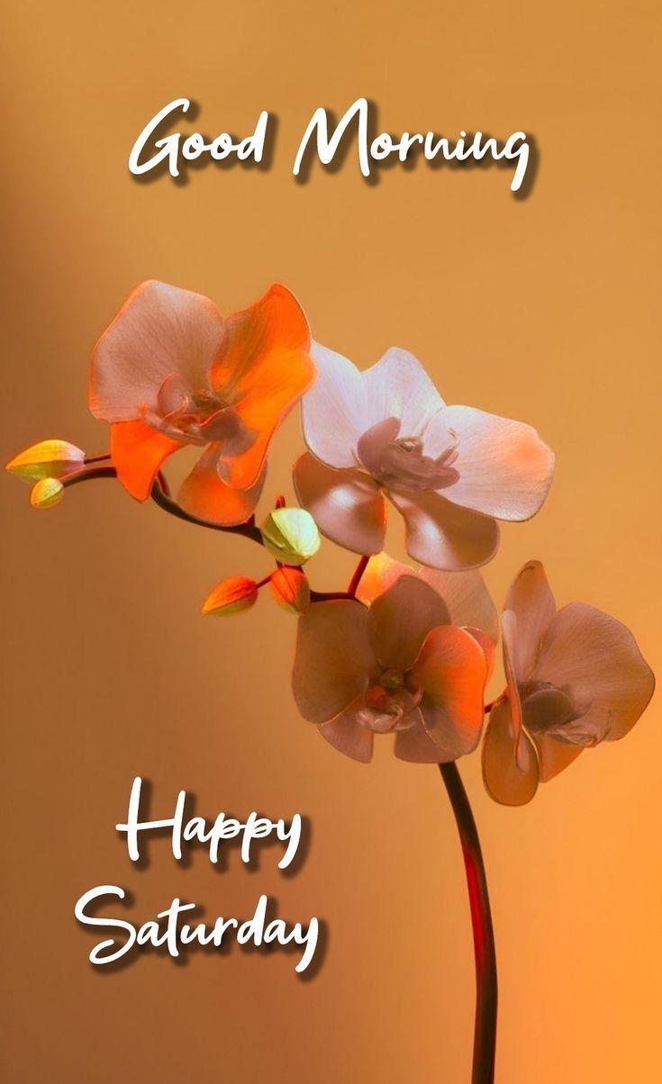 Good Morning Saturday Images for Whatsapp Good Morning Saturday Images for Whatsapp