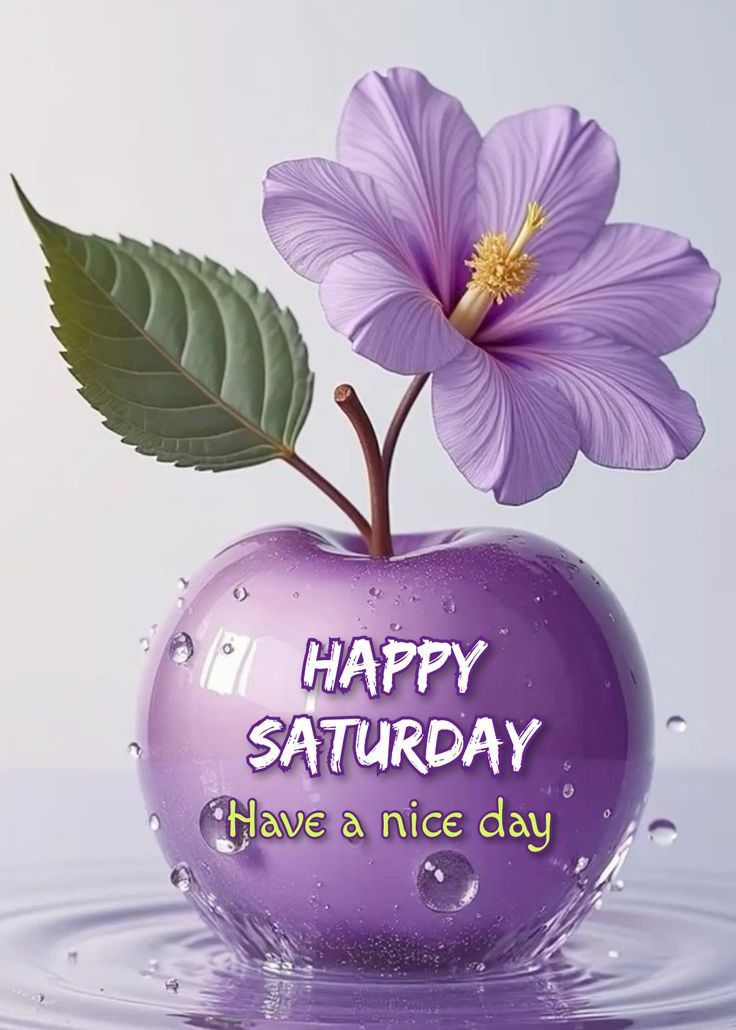 Good Morning Saturday Wallpapers Good Morning Saturday Wallpapers