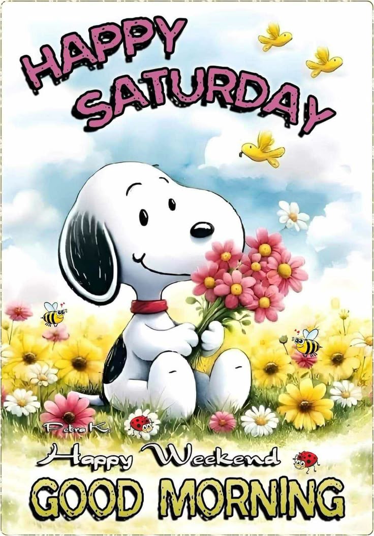 Good Morning Saturday Good Morning Saturday