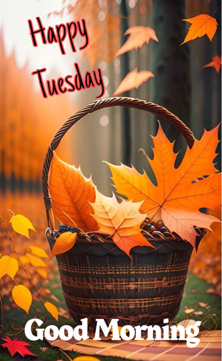 Good Morning Tuesday Image Good Morning Tuesday Image