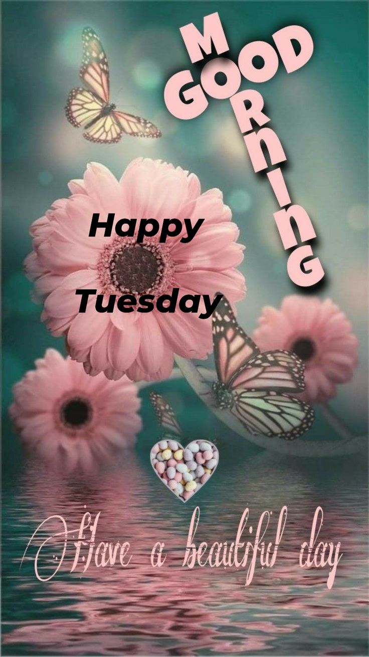 Good Morning Tuesday Pictures Good Morning Tuesday Pictures