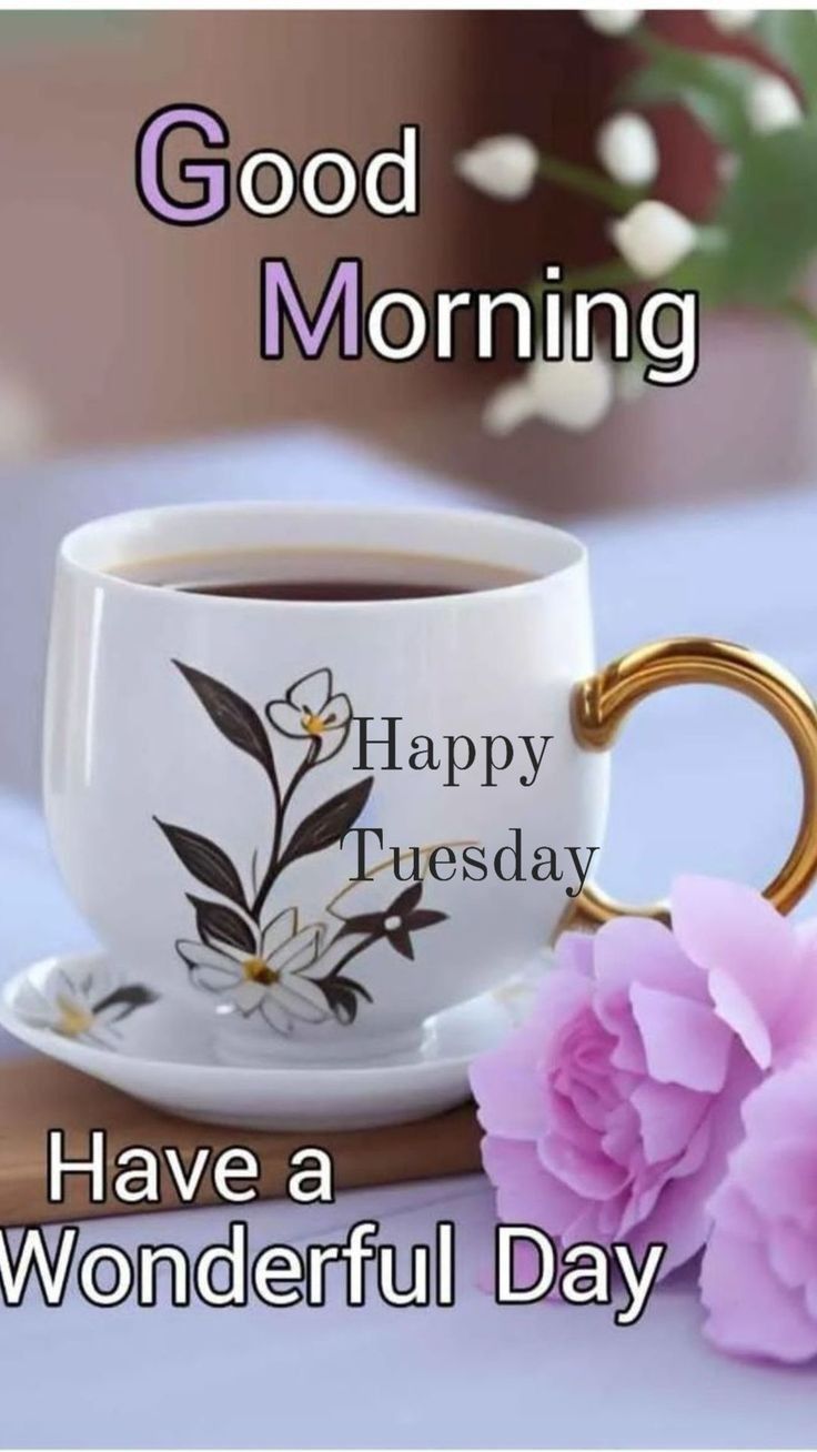 Good Morning Tuesday Good Morning Tuesday