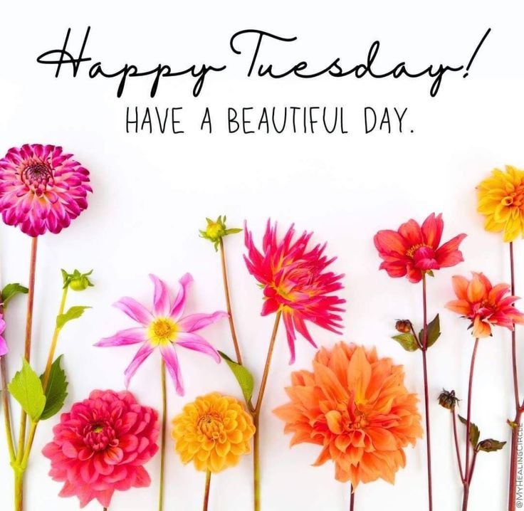 Humor Good Morning Tuesday Humor Good Morning Tuesday