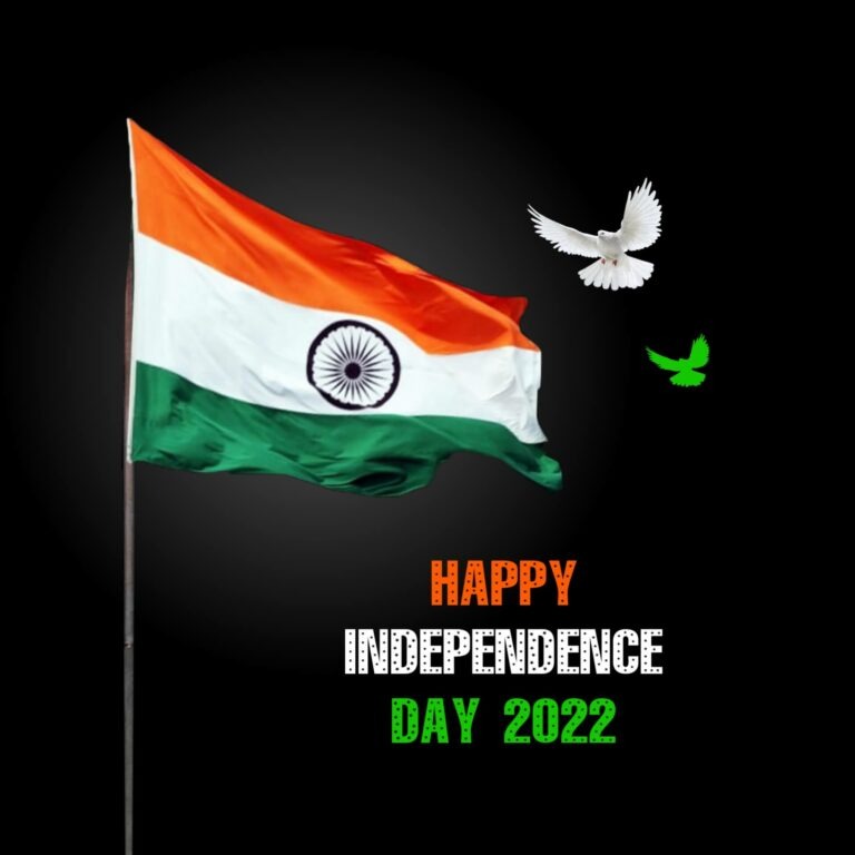 Independence Day Poster Independence Day Poster