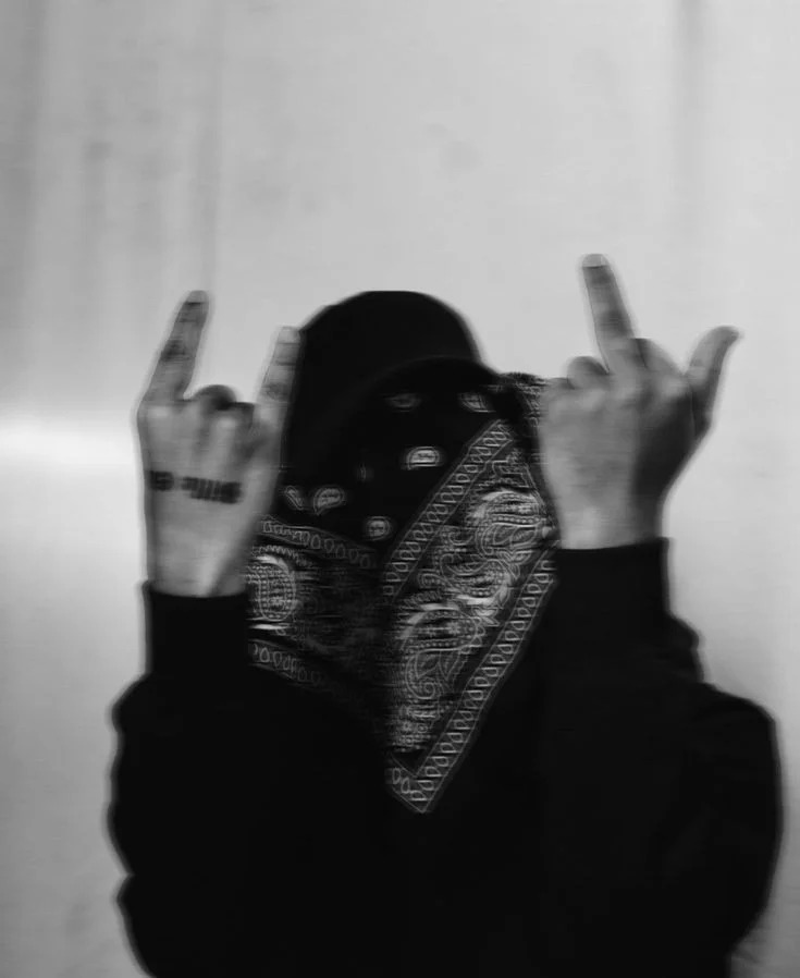 Middle School Middle School Pfp School