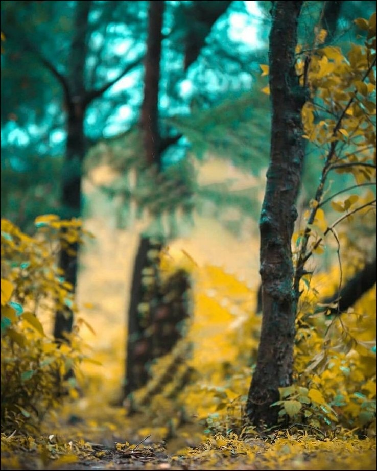 Photography Blur CB Background HD Photography Blur CB Background HD