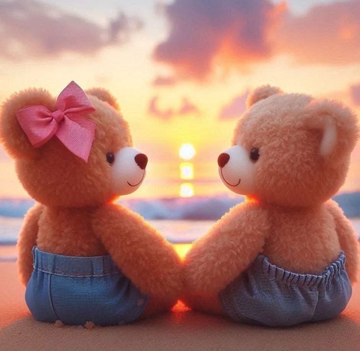 Teddy Bear Images