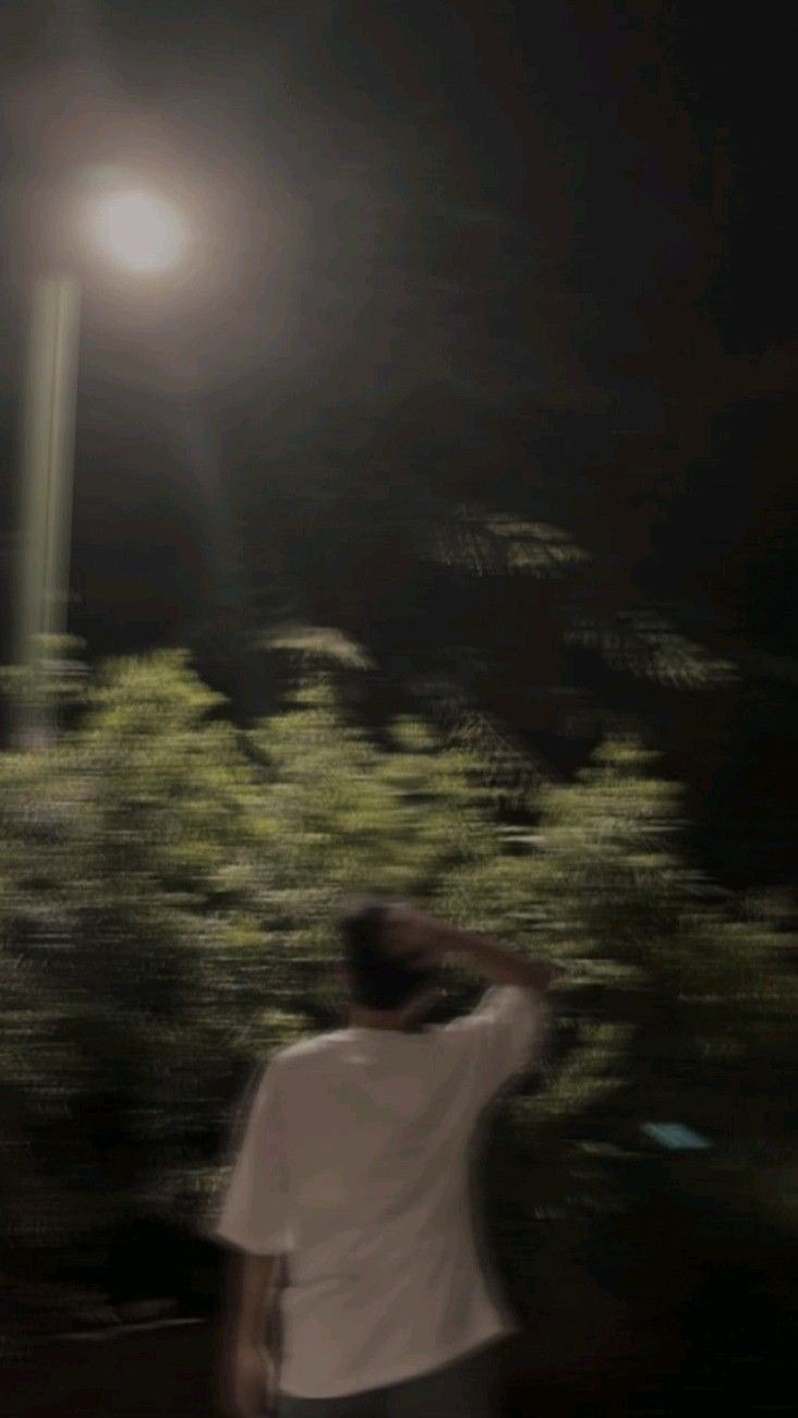 butterfly aesthetic dp