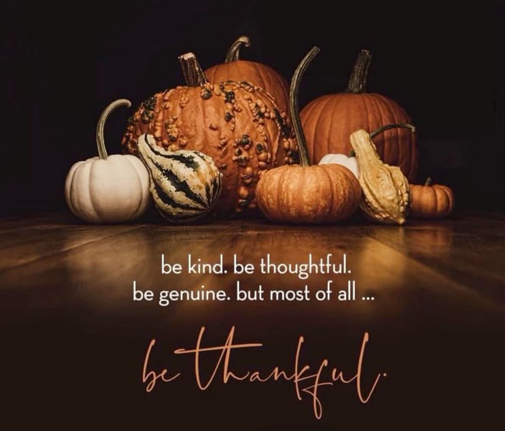 funny happy thanksgiving images